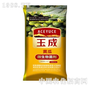 ���΢����������S�ϣ�