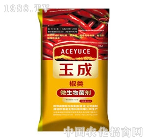 ���΢������������