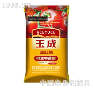 ���΢������������t����