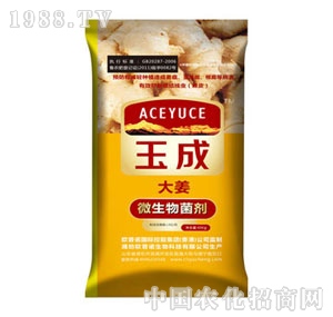 ���΢����������󽪣�