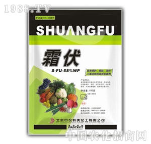 ���r����-˪��