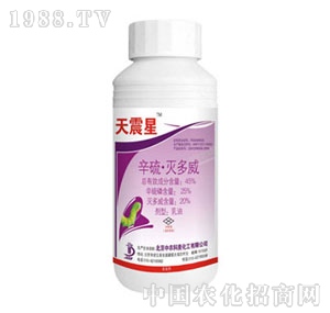 ���r����-������