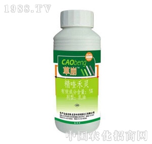 ���r����-�ݱ�