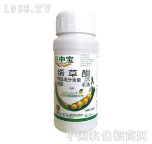 ���r����-���Ќ�