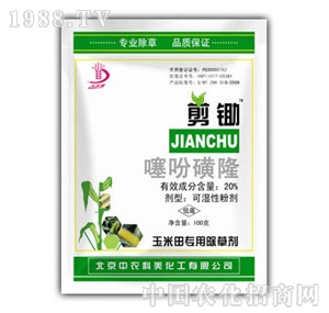 ���r����-���z