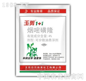 ���r����-���1+1