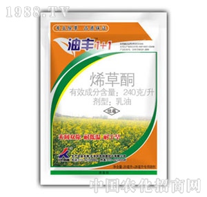 ���r����-���S1+1