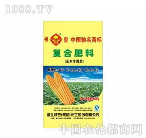 ����-�����׌����ͣ���(f��)�Ϸ��ϣ�16-19-10��