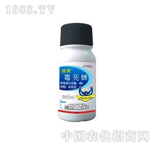 ����-����