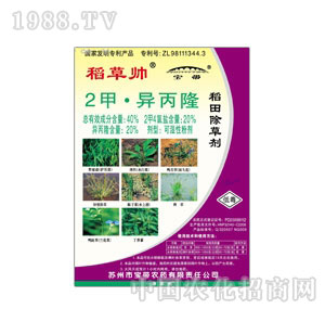 ����-40%���ݎ�WP