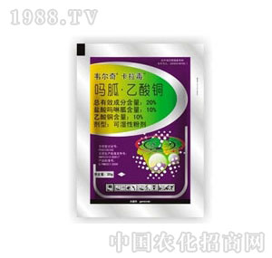 ����-������