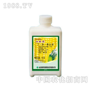 �ٰ�GҰ-42%���r(n��ng)˼���鄩