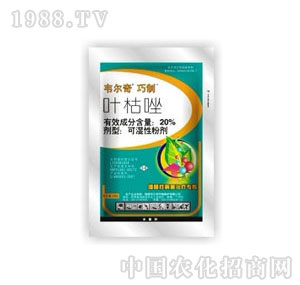 ����-����