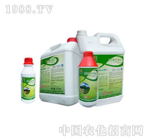 41%�ݸ�좮������}