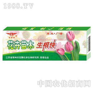 ���v����-������ľ������