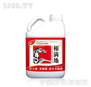 MT.�ڸ��M��