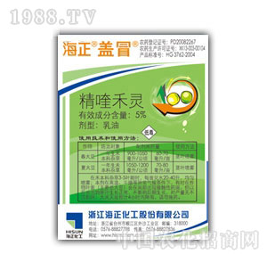 ��������-5%��୺��`