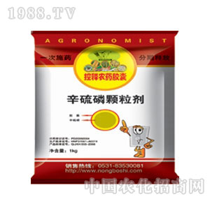 �r��ʿ-����rˎ�z��