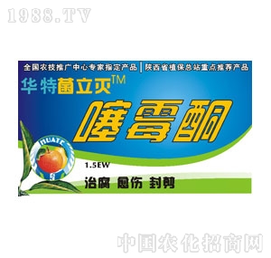 �����A��-�A�ؾ�������ùͪ