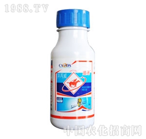 ���_���F-׷�𮐱���