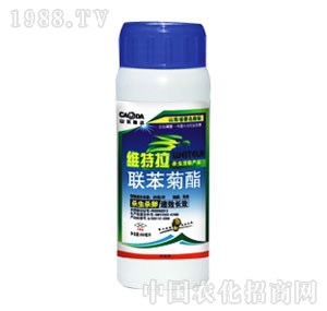 ���_���F-�S����������