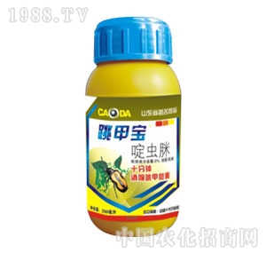 ���_���F-���׌���x��