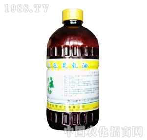 �r(n��ng)����-����(l��)�`����