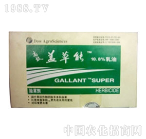 �r(n��ng)����-�w����