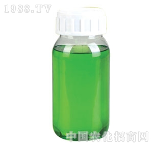 ���_-41%�ݸ�좮����@