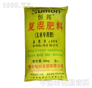 ����-�ͻ��