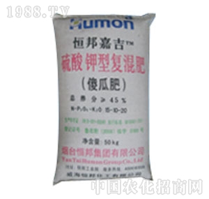 ����-������͏ͻ��