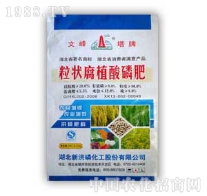 �º���-���ֲ���׷�