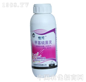 �uƽ-�׻�����`