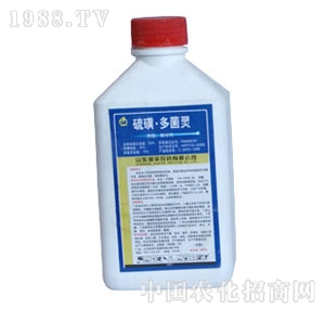 �uƽ-��Ƕ���`