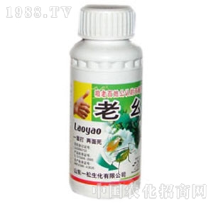 һ��-����