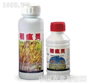 �|�r(n��ng)-�����`����