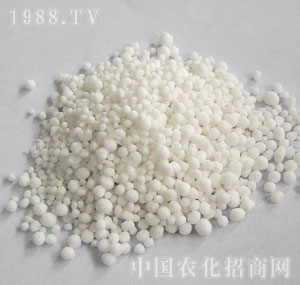 ���ݻ���-����