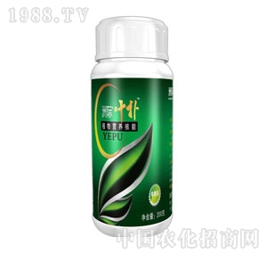 ���H�·�-ֲ��I�B(y��ng)�����~��