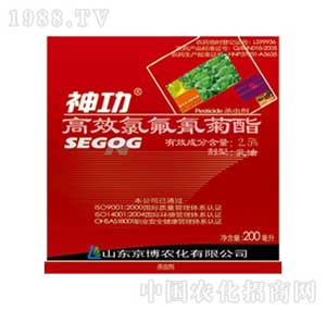 �����r(n��ng)��-��