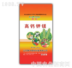 ����-���}��V