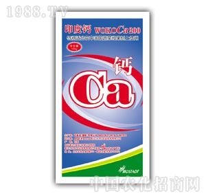 �����r(n��ng)�I(y��)-ӡ���}