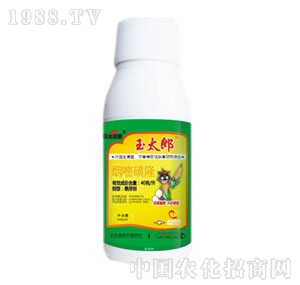 �˺��ɾ�-��̫��