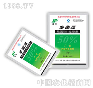 �{(l��n)�S����-50%����`