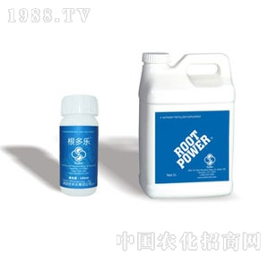 ������-������