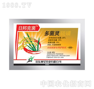 ����-�հ�˾�