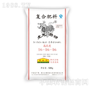 ����-�����R�{�ͺϷ�