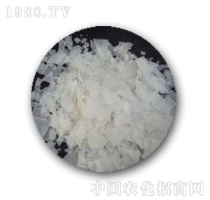 �к����W-99�x��ĤƬ