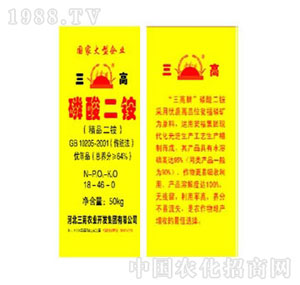 ���߼��F-������@