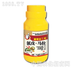 �л�����-�����x����