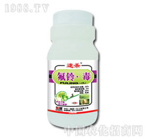 �л�����-�ٚ�